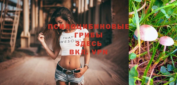 круглые Видное