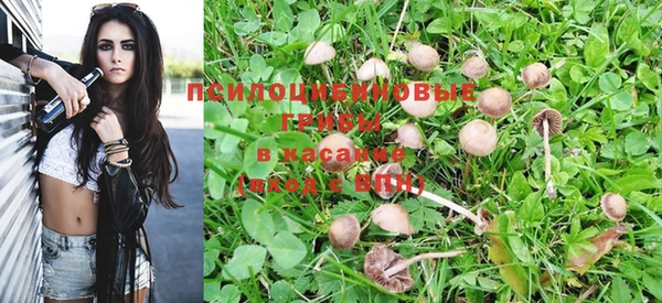 круглые Семёнов