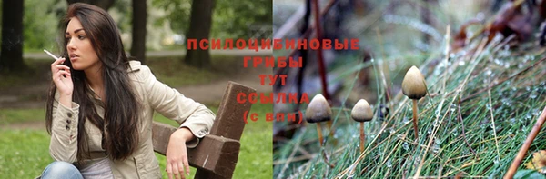 гидропоника Зеленокумск