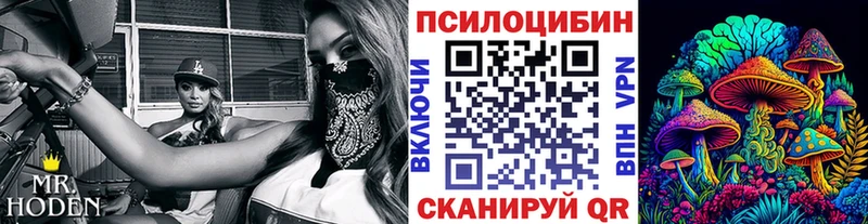 Псилоцибиновые грибы Magic Shrooms  закладка  Юхнов 