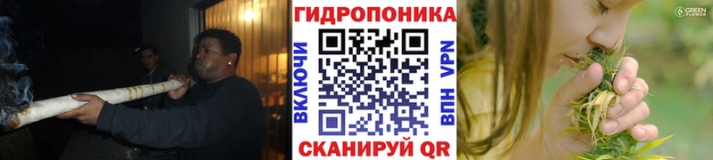 Канабис White Widow  купить закладку  маркетплейс как зайти  Юхнов 